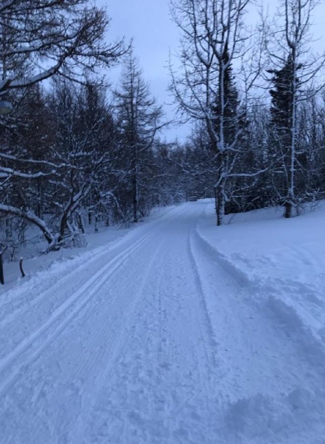Guesthouse Hvitahusid Akureyri Dış mekan fotoğraf
